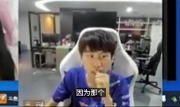 枫哥枫嫂爆料视频在线,幕后真相大曝光！